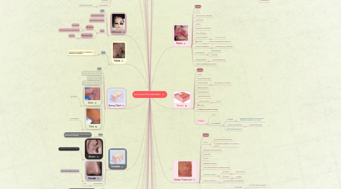 Mind Map: Lesiones Elementales