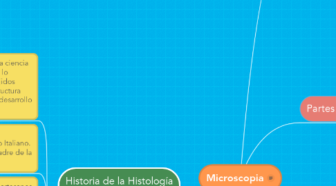 Mind Map: Microscopia