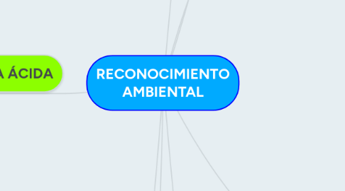 Mind Map: RECONOCIMIENTO AMBIENTAL