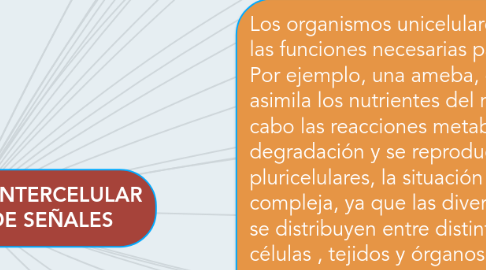 Mind Map: COMUNICACIÓN INTERCELULAR Y TRANSMISIÓN DE SEÑALES