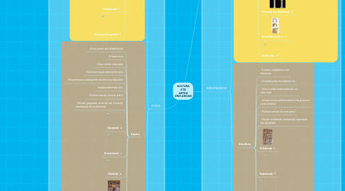 Mind Map: KULTURA ETA ARTEA ERDI AROAN