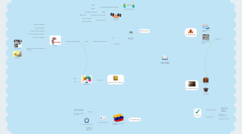 Mind Map: LECTURA