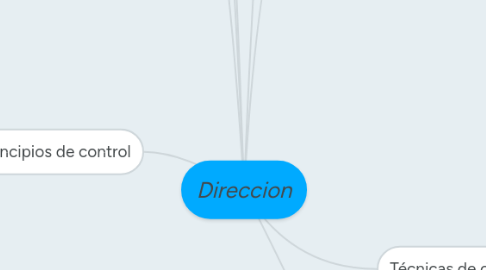 Mind Map: Direccion