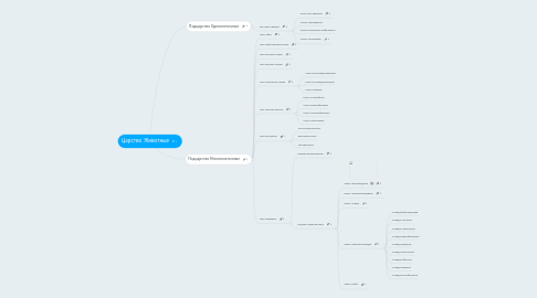 Mind Map: Царство Животные