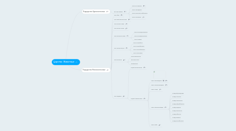 Mind Map: Царство  Животные