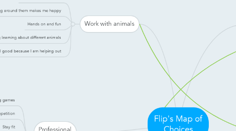 Mind Map: Flip's Map of Choices