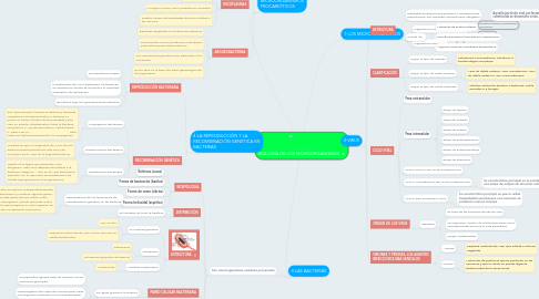 BIOLOGÍA DE LOS MICROORGANISMOS | MindMeister Mapa Mental