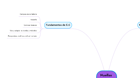 Mind Map: Huellas  Vitales de E.C