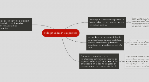 Mind Map: Vida privada en vía pública