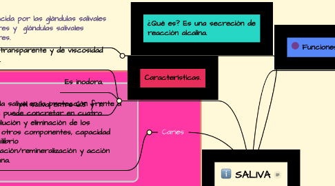 Mind Map: SALIVA