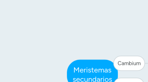 Mind Map: Meristemas secundarios