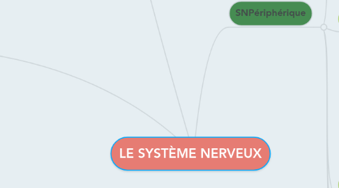 Mind Map: LE SYSTÈME NERVEUX