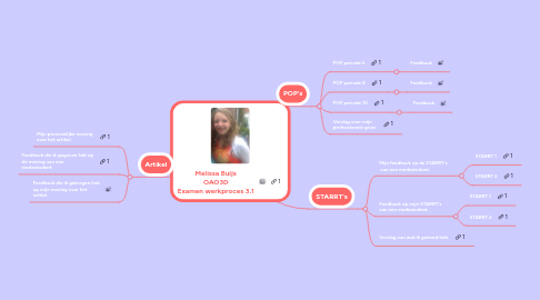 Mind Map: Melissa Buijs OAO3D Examen werkproces 3.1