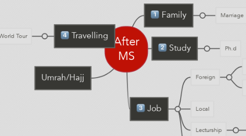 Mind Map: After MS