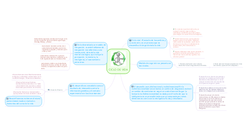 Mind Map: CICLO DE VIDA