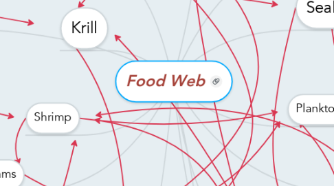 Mind Map: Food Web