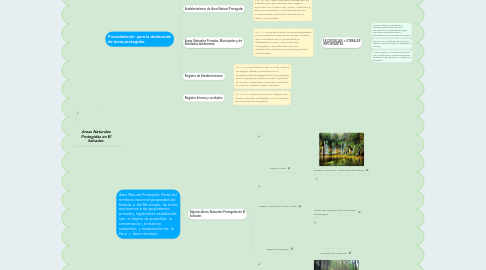 Mind Map: Areas Naturales Protegidas en El Salvador.