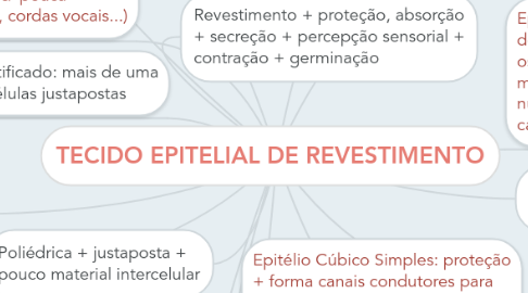 Mind Map: TECIDO EPITELIAL DE REVESTIMENTO