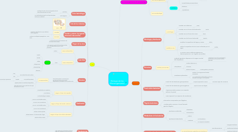 Mind Map: Biología de los Microorganismos