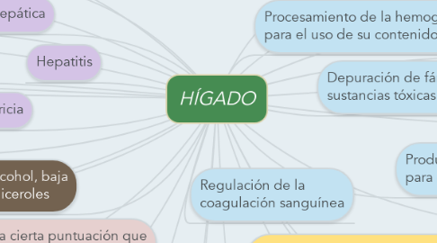 Mind Map: HÍGADO