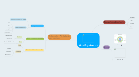 Mind Map: Micro-Organismes