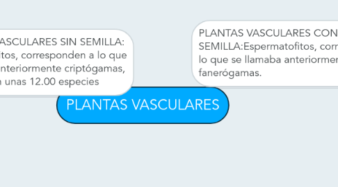 Plantas Vasculares Exemple Mindmeister