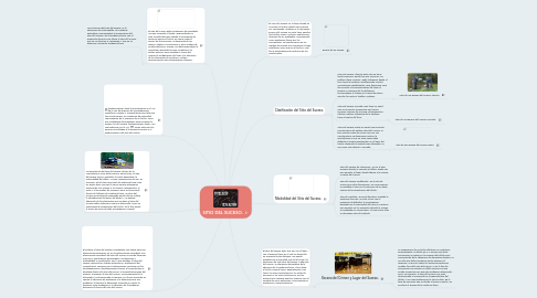 Mind Map: SITIO DEL SUCESO.