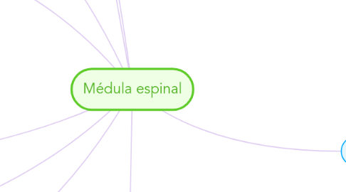 Mind Map: Médula espinal