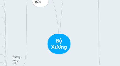 Mind Map: Bộ Xương