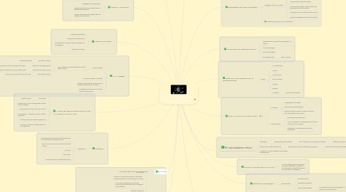 Mind Map: EPISTEMOLOGIA DE LAS CIENCIAS SOCIALES