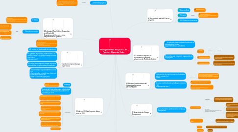 Mind Map: Management de Proyectos: 10 Factores Claves de Exito
