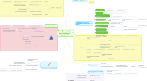 Mind Map: Demanda para proteger el derecho a la intimidad en el marco del nuevo Código de Policía