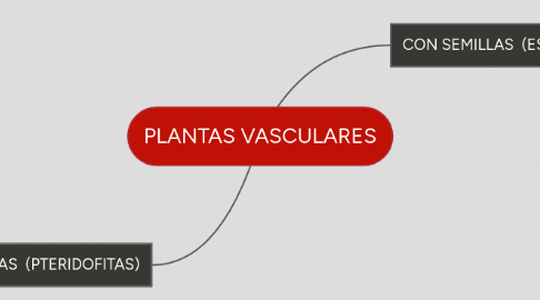 Mind Map: PLANTAS VASCULARES