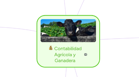 Mind Map: EL CAPITALISMO