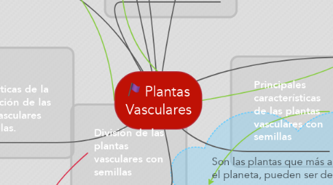 Mind Map: Plantas Vasculares