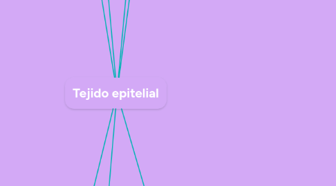 Mind Map: Tejido epitelial