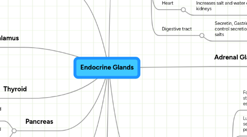 Mind Map: Endocrine Glands