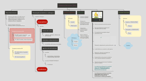 Mind Map: Sistema Nervioso (SN)