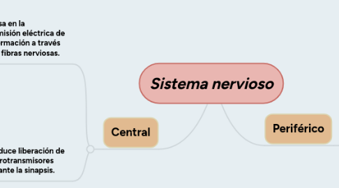 Mind Map: Sistema nervioso