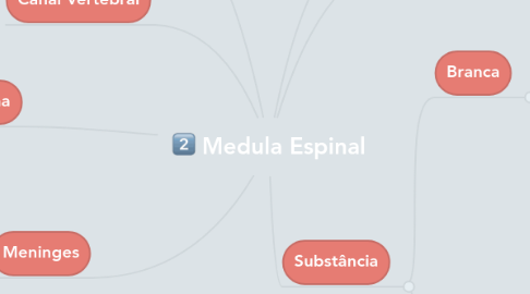 Mind Map: Medula Espinal