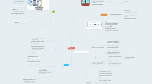 Mind Map: Biology Part 1