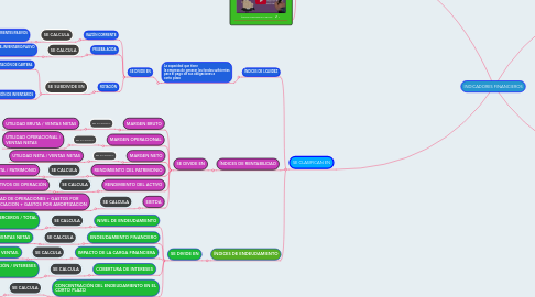 Mind Map: INDICADORES FINANCIEROS