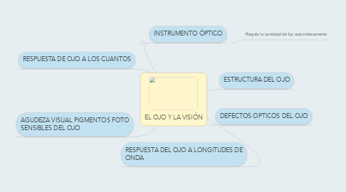 Mind Map: EL OJO Y LA VISIÓN