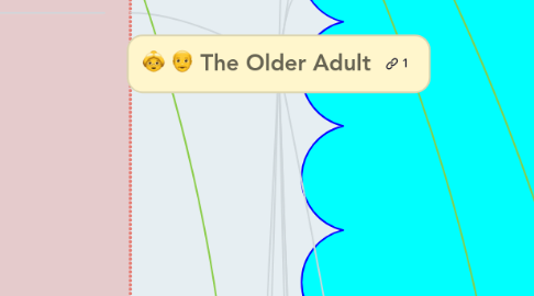 Mind Map: The Older Adult