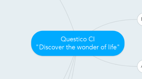 Mind Map: Questico CI "Discover the wonder of life"