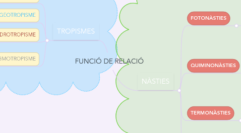 Mind Map: FUNCIÓ DE RELACIÓ