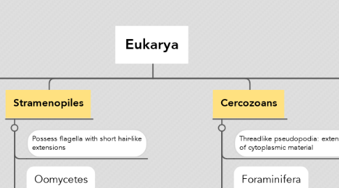 Mind Map: Eukarya