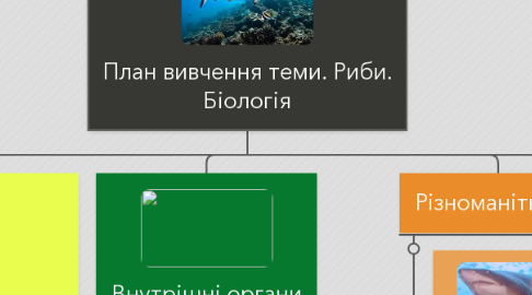 Mind Map: План вивчення теми. Риби. Біологія