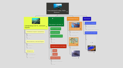 Mind Map: План вивчення теми. Риби. Біологія