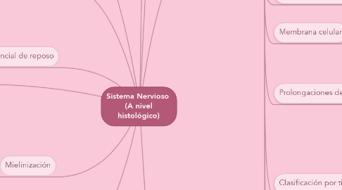 Mind Map: Sistema Nervioso  (A nivel histológico)
